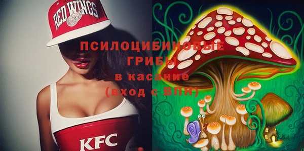 синтетический гашиш Арсеньев