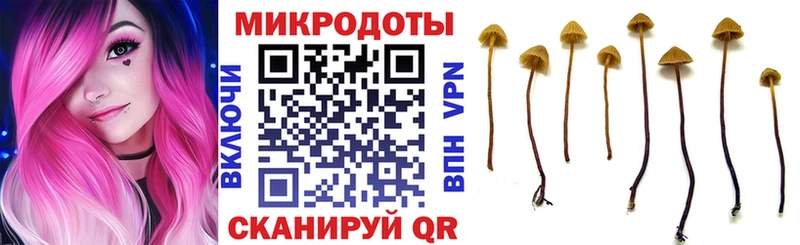 Псилоцибиновые грибы Psilocybine cubensis  Венёв 